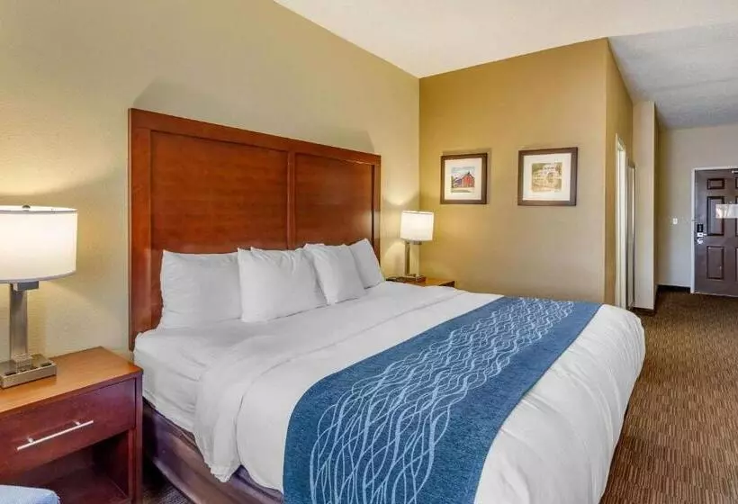キングサイズベッドのスタンダードルーム, Comfort Inn Rockford Near Casino District