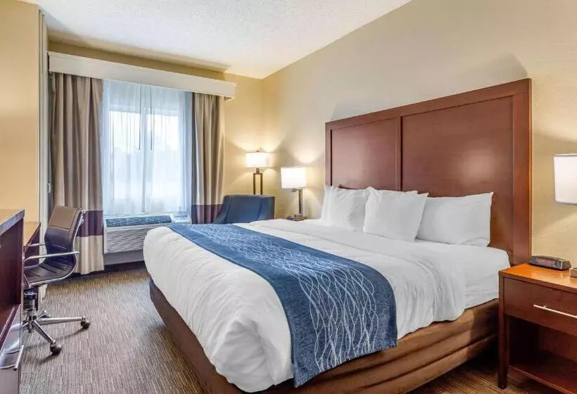キングサイズベッドのスタンダードルーム, Comfort Inn Rockford Near Casino District
