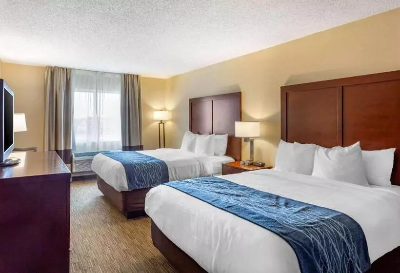 スタンダードルーム, Comfort Inn Rockford Near Casino District
