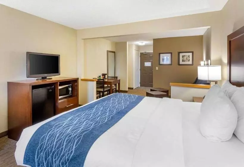 キングサイズベッドのスイートルーム, Comfort Inn Rockford Near Casino District