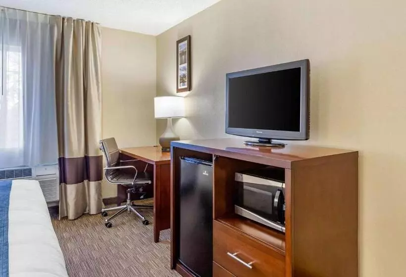 キングサイズベッドのスイートルーム, Comfort Inn Rockford Near Casino District