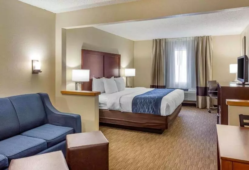キングサイズベッドのスイートルーム, Comfort Inn Rockford Near Casino District