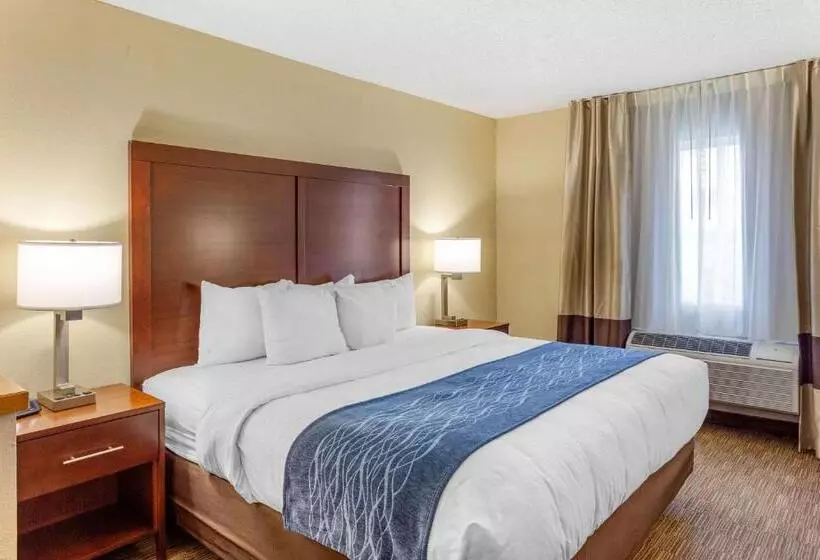 キングサイズベッドのスイートルーム, Comfort Inn Rockford Near Casino District