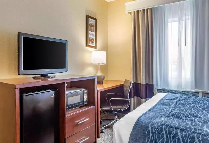 スイート, Comfort Inn Rockford Near Casino District