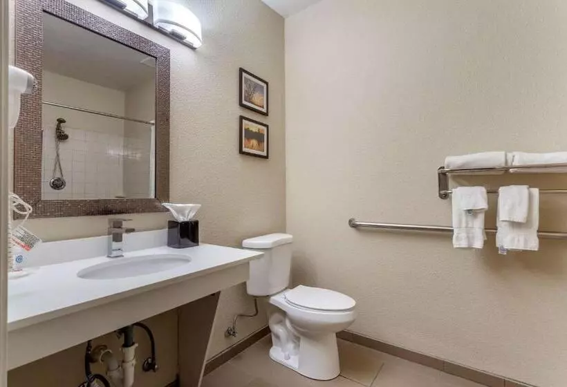 身障者適用スタンダードルーム, Comfort Inn Rockford Near Casino District