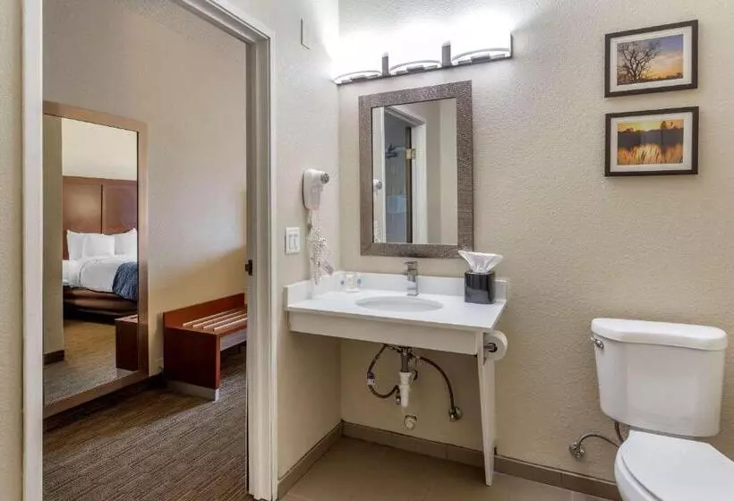 身障者適用スタンダードルーム, Comfort Inn Rockford Near Casino District