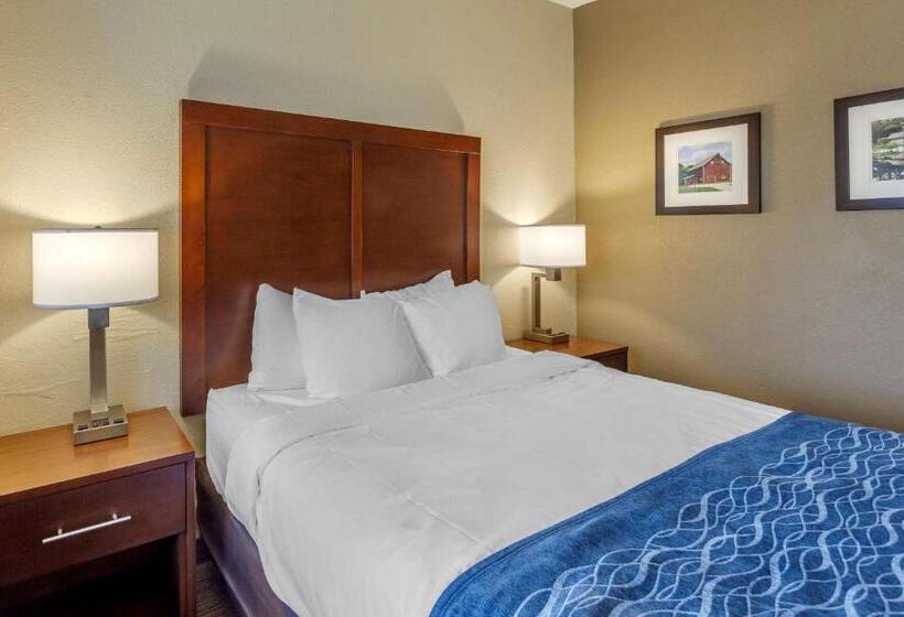 Standard Værelse Tilpasset til Handicappede, Comfort Inn Rockford Near Casino District