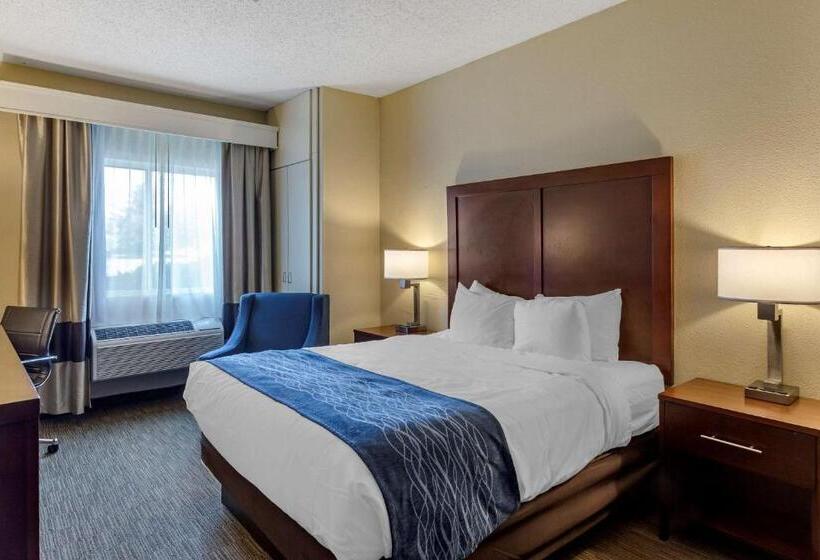 Номер Стандарт Адаптированный для Инвалидов, Comfort Inn Rockford Near Casino District