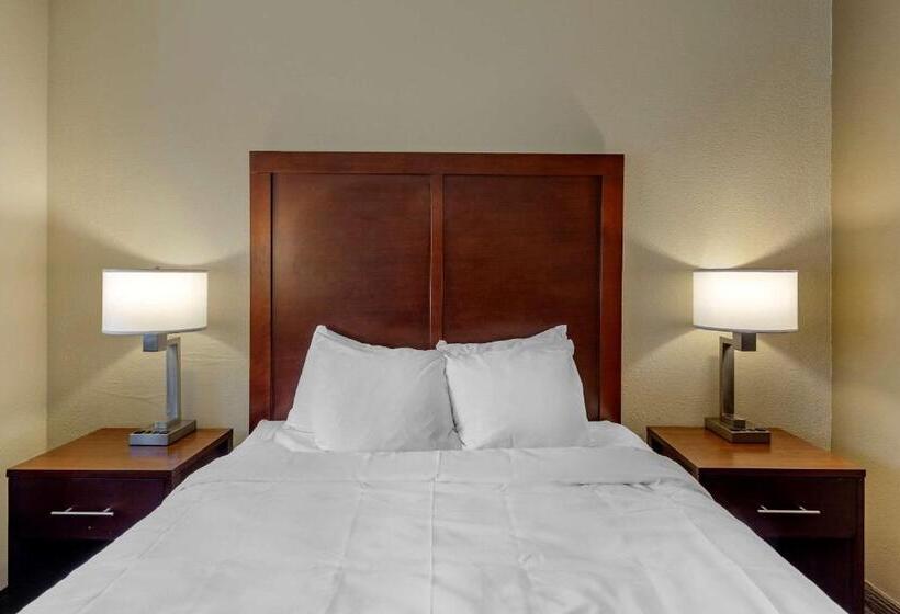 Standard Værelse Tilpasset til Handicappede, Comfort Inn Rockford Near Casino District