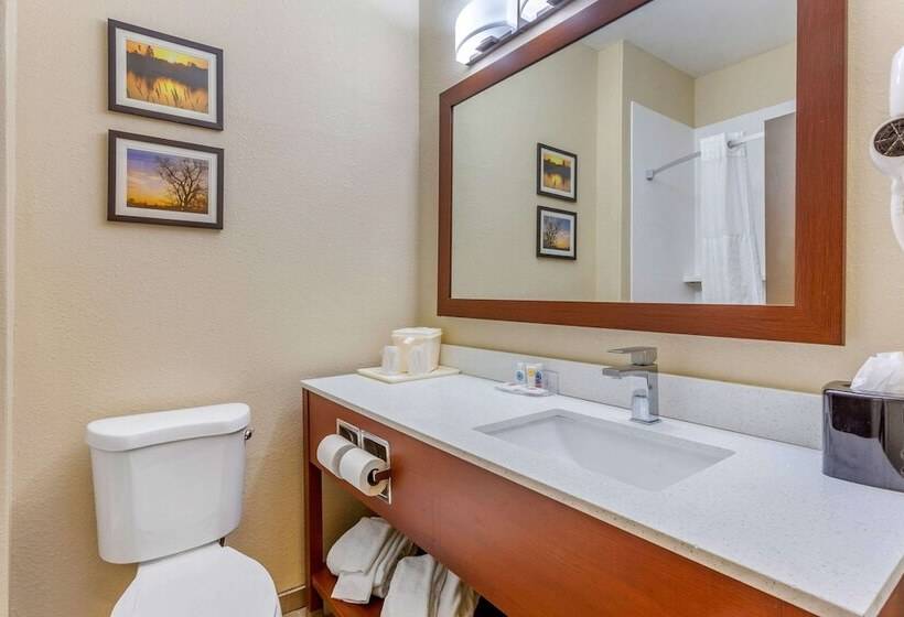 Люкс, Comfort Inn Rockford Near Casino District