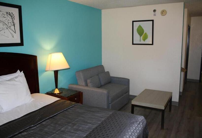 Quarto Estandar Cama King para Deficientes Físicos, Executive Inn And Suites Wichita Falls