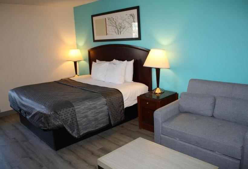 غرفة قياسية سرير كينج لذوى الإحتياجات الخاصة, Executive Inn And Suites Wichita Falls