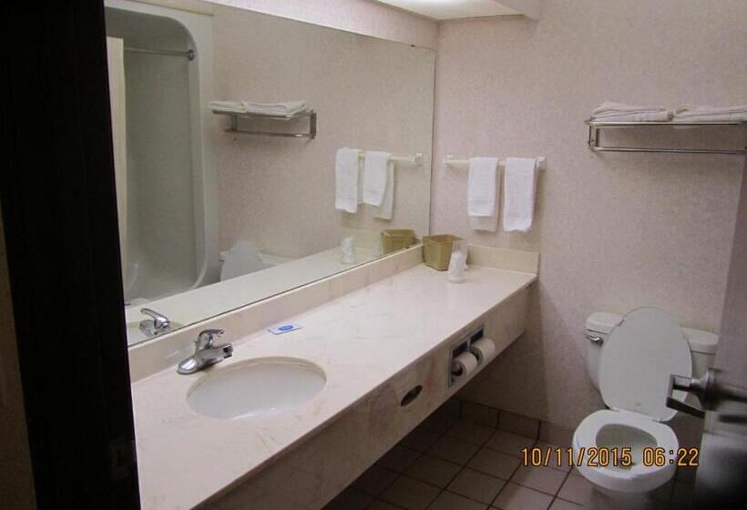 غرفة قياسية ثلاثية, Executive Inn And Suites Wichita Falls