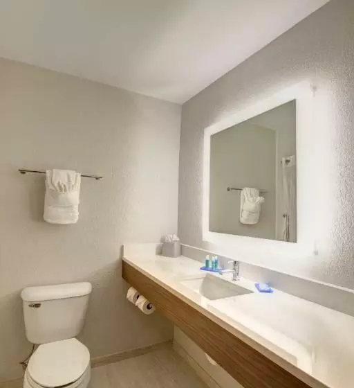 スタンダードルーム, Holiday Inn Express Columbus South   Obetz, An Ihg