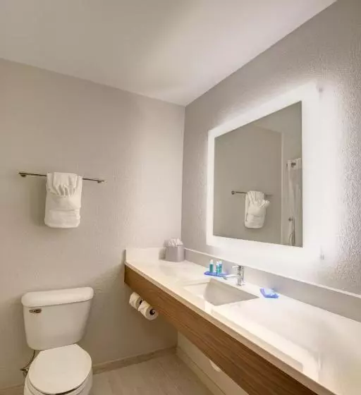 キングサイズベッドのスイートルーム, Holiday Inn Express Columbus South   Obetz, An Ihg