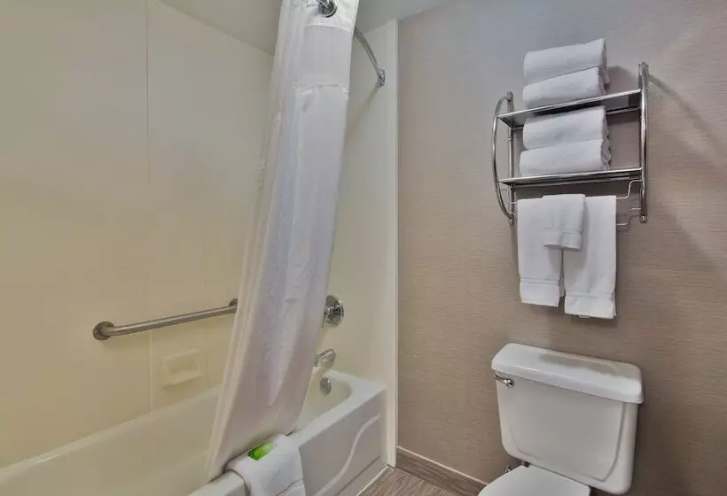 اتاق استاندارد, Holiday Inn Express Harrisburg Ne, An Ihg
