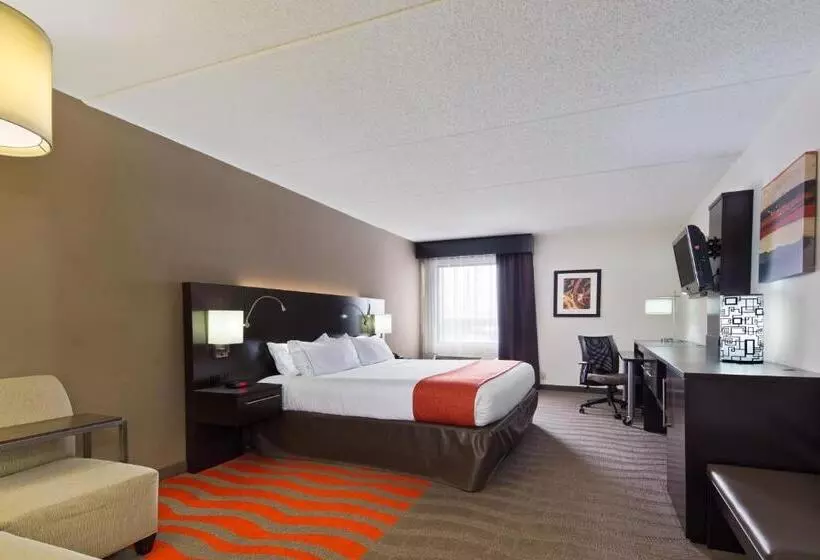 اتاق استاندارد با تخت بزرگ, Holiday Inn Express Harrisburg Ne, An Ihg
