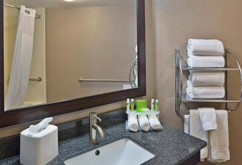 اتاق استاندارد با تخت بزرگ, Holiday Inn Express Harrisburg Ne, An Ihg
