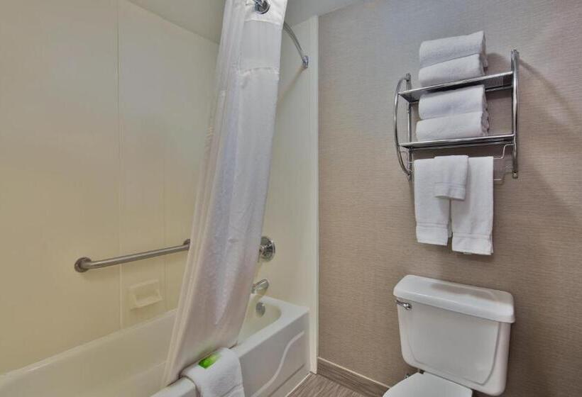 キングサイズベッドのスタンダードルーム, Holiday Inn Express Harrisburg Ne, An Ihg