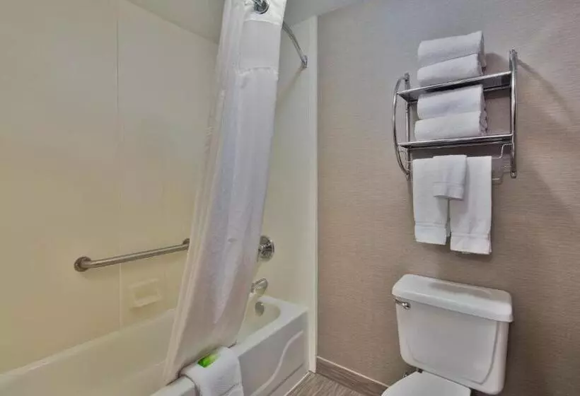اتاق استاندارد با تخت بزرگ برای معلولان, Holiday Inn Express Harrisburg Ne, An Ihg