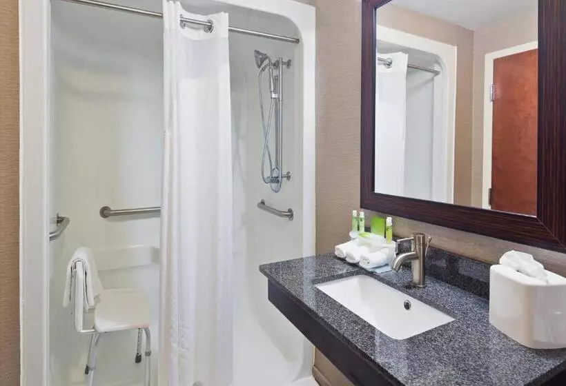 اتاق استاندارد با تخت بزرگ برای معلولان, Holiday Inn Express Harrisburg Ne, An Ihg