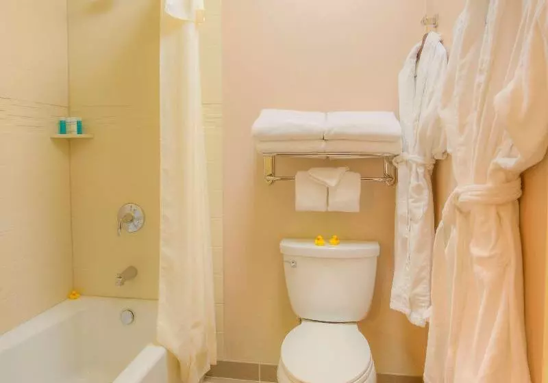 اتاق استاندارد با تخت بزرگ برای معلولان, Holiday Inn Express Harrisburg Ne, An Ihg