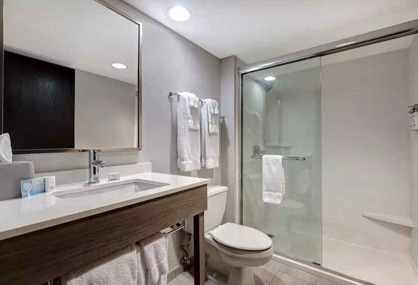スイート, Holiday Inn Express & Suites Central Omaha, An Ihg