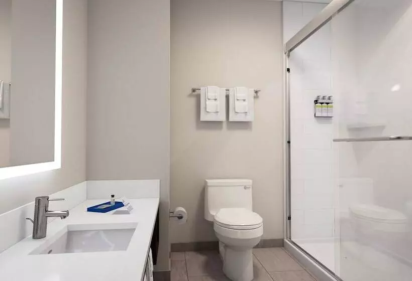 スイート, Holiday Inn Express & Suites Central Omaha, An Ihg