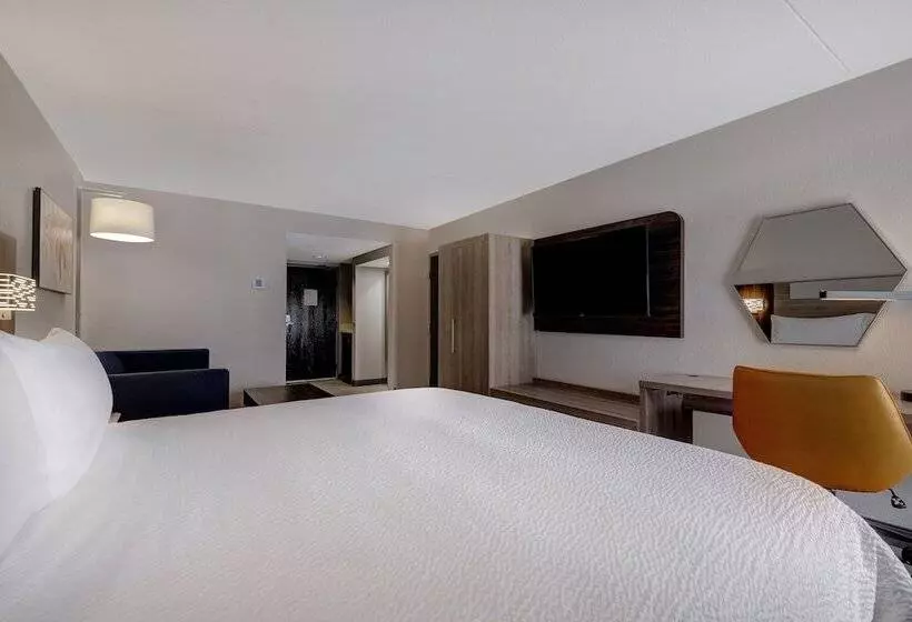 スイート, Holiday Inn Express & Suites Central Omaha, An Ihg