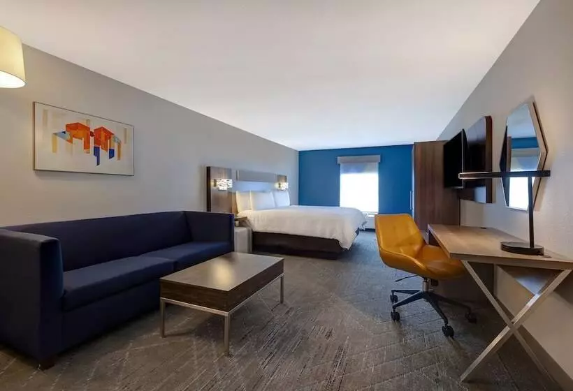 スイート, Holiday Inn Express & Suites Central Omaha, An Ihg