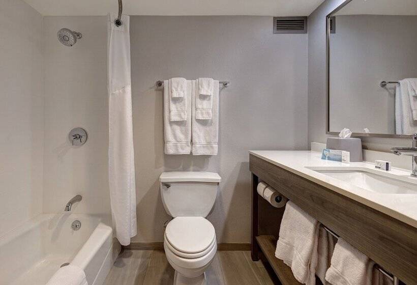 סוויטה, Holiday Inn Express & Suites Central Omaha, An Ihg