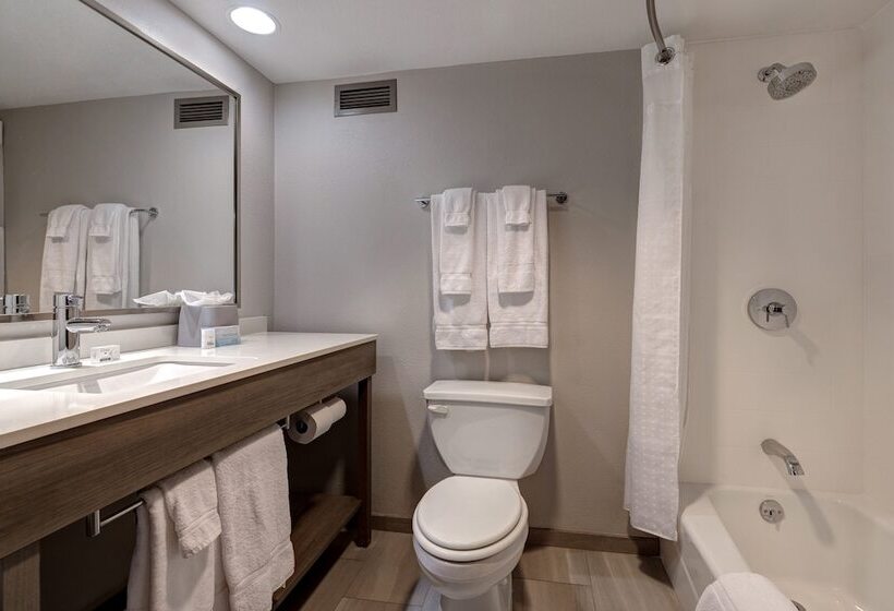 סוויטה, Holiday Inn Express & Suites Central Omaha, An Ihg