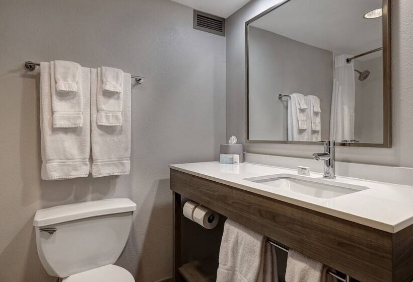 חדר סטנדרט, Holiday Inn Express & Suites Central Omaha, An Ihg