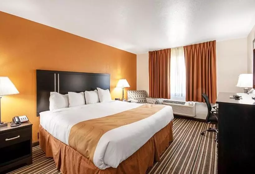 اتاق استاندارد با تخت بزرگ, Quality Inn