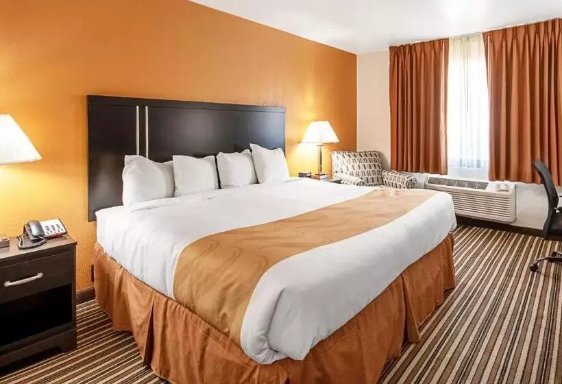 اتاق استاندارد با تخت بزرگ, Quality Inn