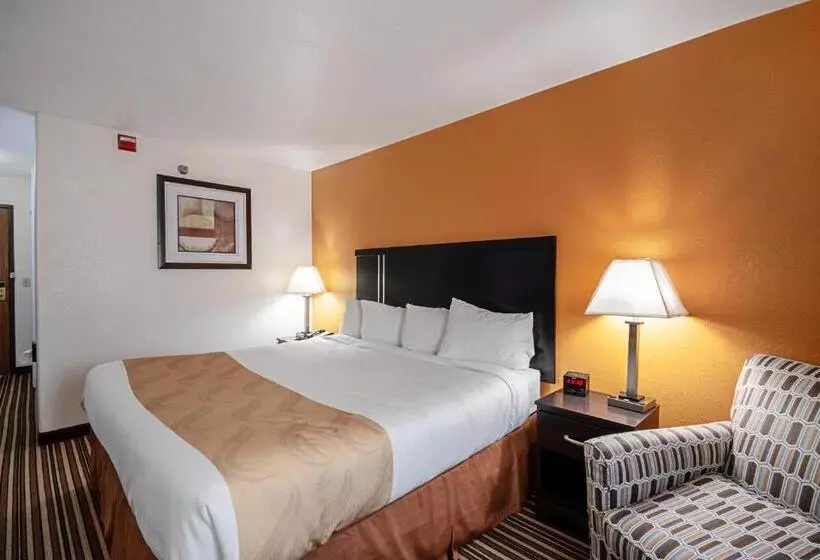 اتاق استاندارد با تخت بزرگ, Quality Inn