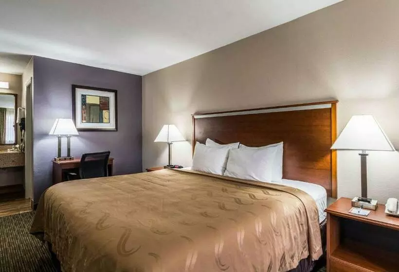 キングサイズベッドのスタンダードルーム, Quality Inn University Near Downtown
