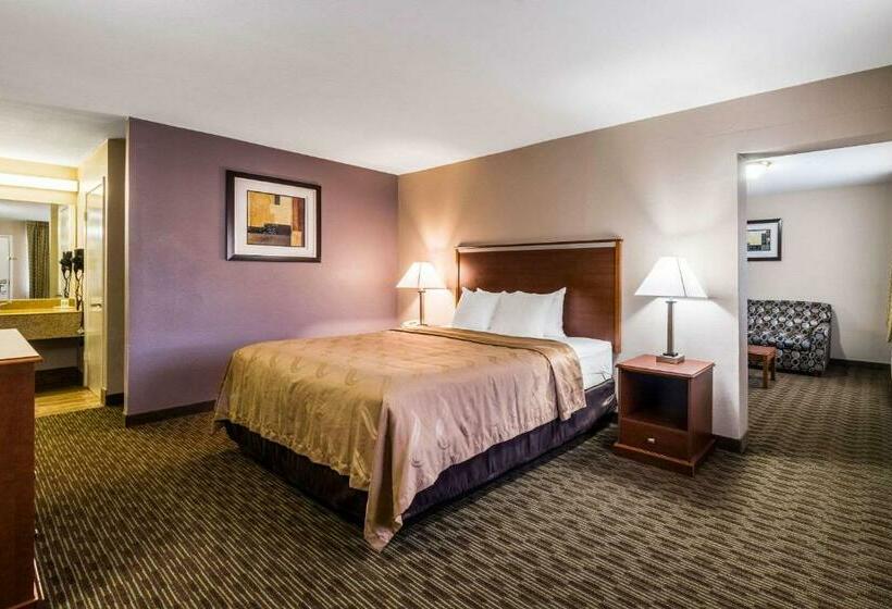 스탠다드 룸 킹사이즈 침대, Quality Inn University Near Downtown