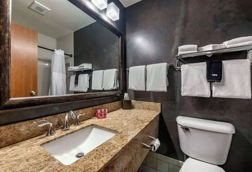 スタンダードルーム, Surestay Plus Hotel By Best Western Buffalo