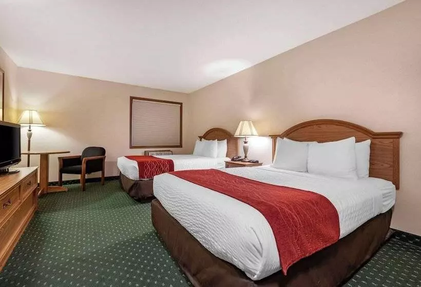 スタンダードルーム, Surestay Plus Hotel By Best Western Buffalo