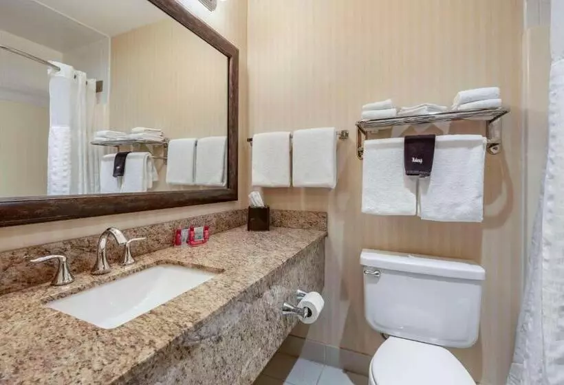 スタンダードルーム, Surestay Plus Hotel By Best Western Buffalo