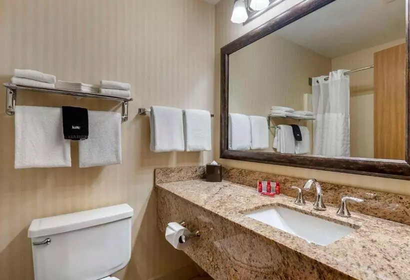 キングサイズベッドのスタンダードルーム, Surestay Plus Hotel By Best Western Buffalo