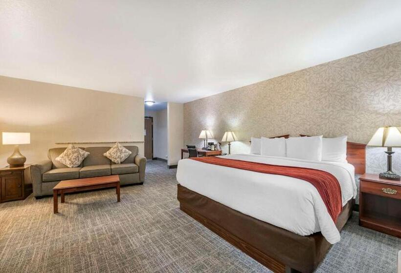 غرفة قياسية سرير كينج, Surestay Plus Hotel By Best Western Buffalo