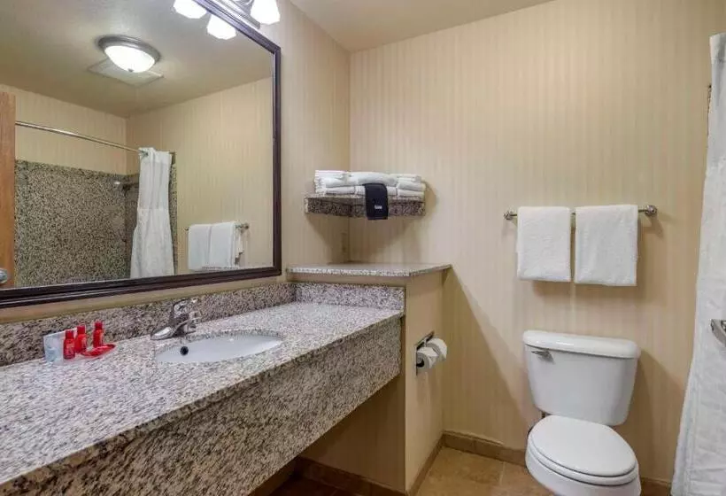 身障者適用キングサイズベッドルーム, Surestay Plus Hotel By Best Western Buffalo