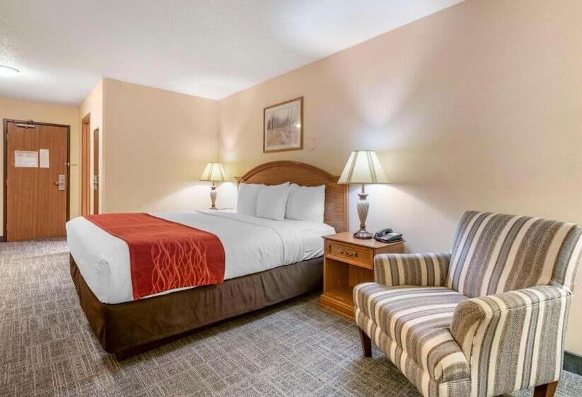 غرفة قياسية سرير كينج لذوى الإحتياجات الخاصة, Surestay Plus Hotel By Best Western Buffalo