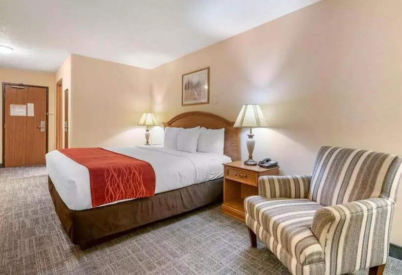身障者適用キングサイズベッドルーム, Surestay Plus Hotel By Best Western Buffalo