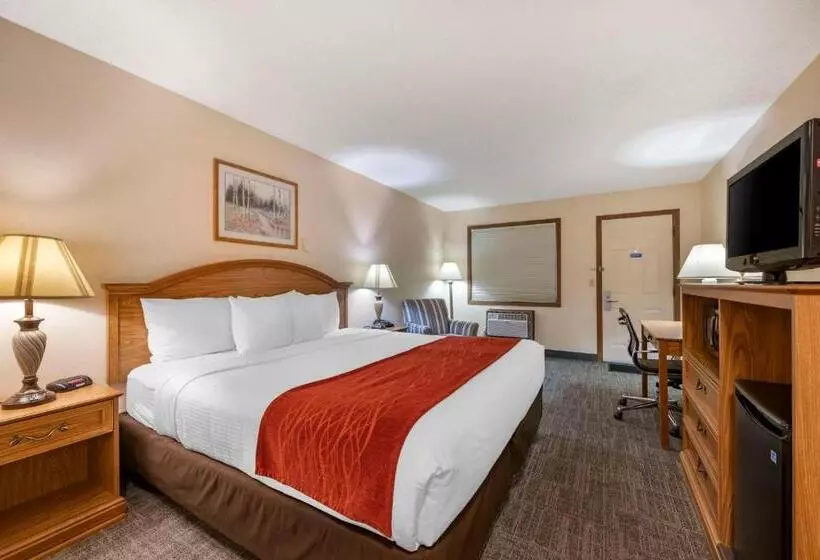 身障者適用キングサイズベッドルーム, Surestay Plus Hotel By Best Western Buffalo