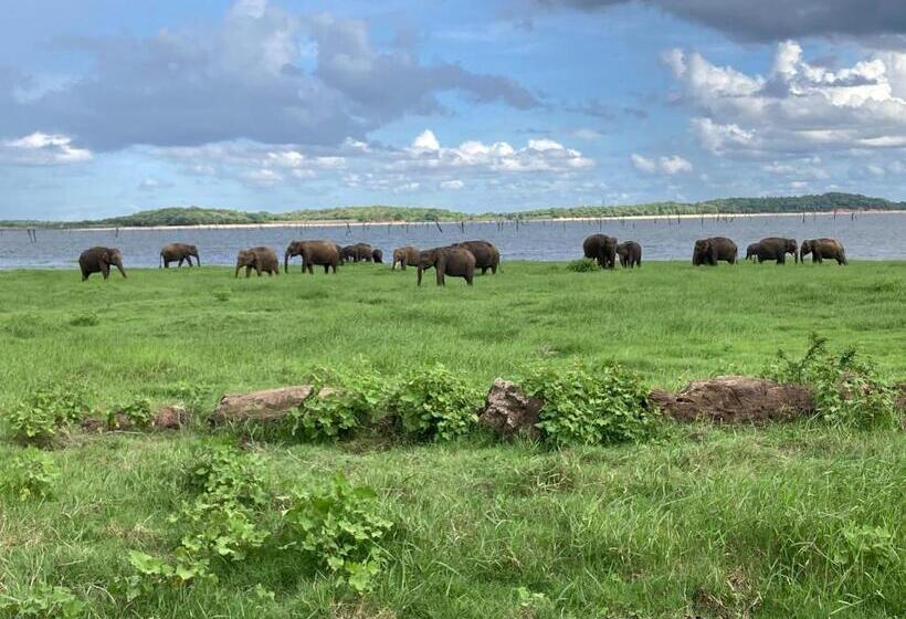 غرفة ديلوكس ذات إطلالة, Panoramic Royal Villa