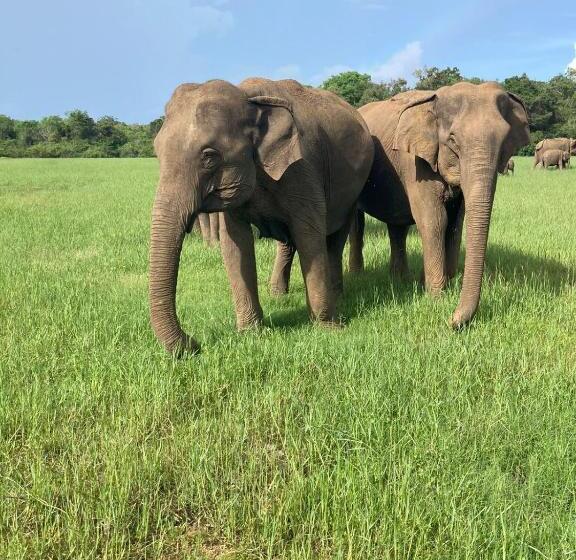 غرفة ديلوكس ذات إطلالة, Panoramic Royal Villa