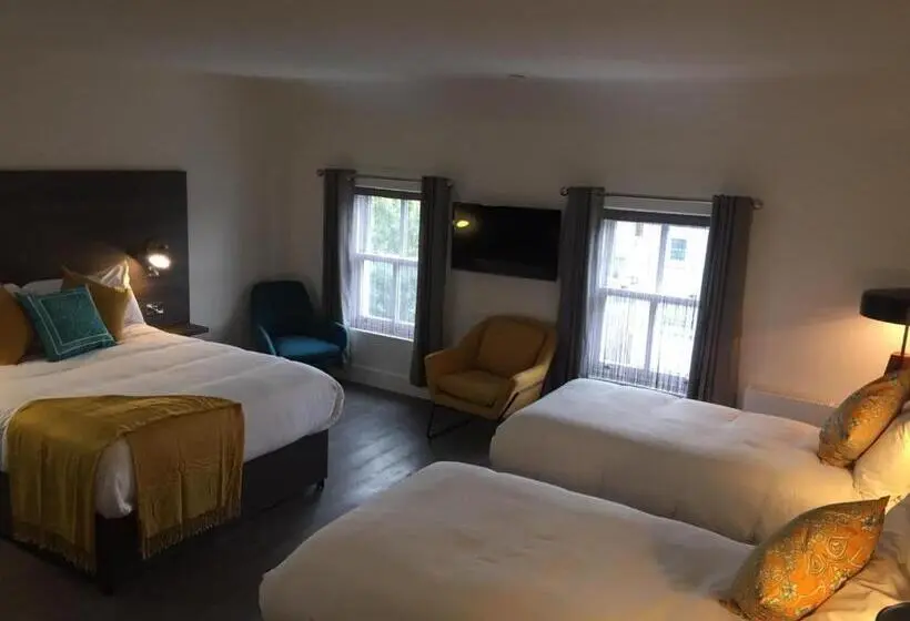 デラックスの４人部屋, Base Dingle